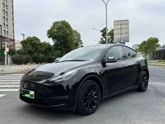 Tesla Model Y Long Range All-Wheel Drive 3D7 - ფოტო 1
