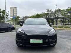 Tesla Model Y Long Range All-Wheel Drive 3D7 - ფოტო 2