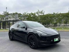 Tesla Model Y Long Range All-Wheel Drive 3D7 - ფოტო 3