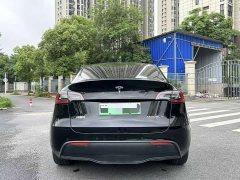 Tesla Model Y Long Range All-Wheel Drive 3D7 - ფოტო 4