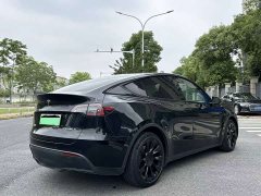Tesla Model Y Long Range All-Wheel Drive 3D7 - ფოტო 5