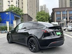 Tesla Model Y Long Range All-Wheel Drive 3D7 - ფოტო 6