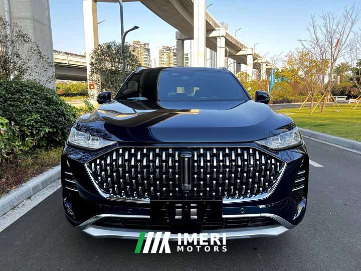 Great Wall WEY Mocha 2.0T Two-Wheel Drive Premium Edition