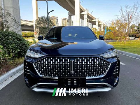 2021 Great Wall WEY Mocha 2.0T Two-Wheel Drive Premium Edition - car from China