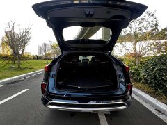 Great Wall WEY Mocha 2.0T Two-Wheel Drive Premium Edition - ფოტო 17