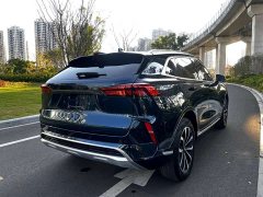Great Wall WEY Mocha 2.0T Two-Wheel Drive Premium Edition - ფოტო 18