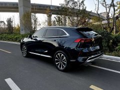 Great Wall WEY Mocha 2.0T Two-Wheel Drive Premium Edition - ფოტო 20