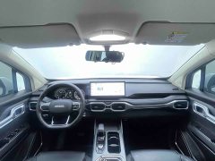 Geely Radar Horizon 2023 410km Startup Edition - ფოტო 6