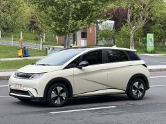 BYD Dolphin Glory Edition 420km Fashion Version - ფოტო 1