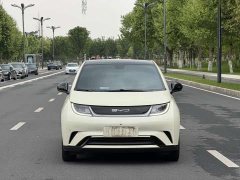 BYD Dolphin Glory Edition 420km Fashion Version - ფოტო 2