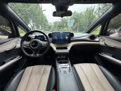 BYD Dolphin Glory Edition 420km Fashion Version - ფოტო 4