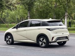 BYD Dolphin Glory Edition 420km Fashion Version - ფოტო 6