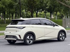 BYD Dolphin Glory Edition 420km Fashion Version - ფოტო 8