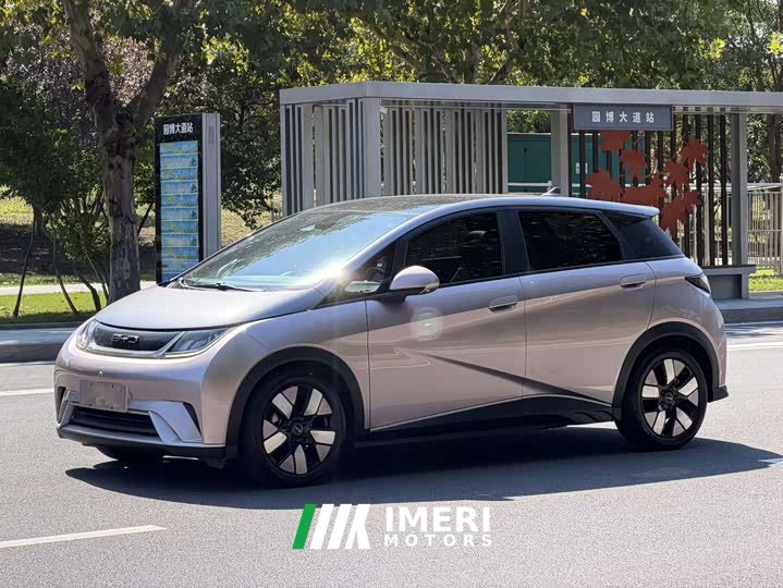 BYD Dolphin 2023 401km Knight Edition - ავტომობილი ჩინეთიდან