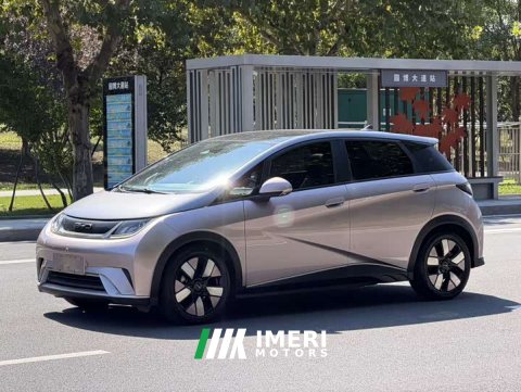 2022 BYD Dolphin 2023 401km Knight Edition - ავტომობილი ჩინეთიდან