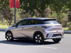 BYD Dolphin 2023 401km Knight Edition - ფოტო 11