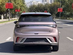 BYD Dolphin 2023 401km Knight Edition - ფოტო 12