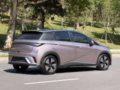 BYD Dolphin 2023 401km Knight Edition - ფოტო 13