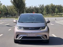 BYD Dolphin 2023 401km Knight Edition - ფოტო 2