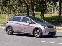 BYD Dolphin 2023 401km Knight Edition - ფოტო 3