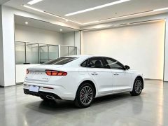 Geely Xingrui 2.0T Diesel Luxury - ფოტო 7