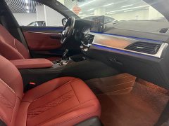 BMW 5 Series 530Li Luxury Edition Luxury Edition - ფოტო 10