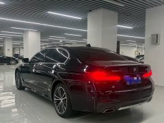 BMW 5 Series 530Li Luxury Edition Luxury Edition - ფოტო 14