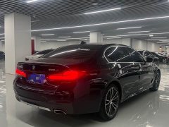 BMW 5 Series 530Li Luxury Edition Luxury Edition - ფოტო 15