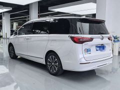Buick GL8 ES Luxe 653T Prestige - ფოტო 11