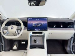 Denza BYD Denza N9 Premium Edition - ფოტო 13