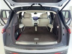 Denza BYD Denza N9 Premium Edition - ფოტო 15