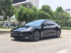 Tesla Model 3 Standard Range RWD Upgrade - ფოტო 1