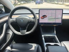 Tesla Model 3 Standard Range RWD Upgrade - ფოტო 14