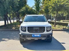 Great Wall Dachshund 1.5T DCT Two-Wheel Drive Border Collie Edition - ფოტო 1