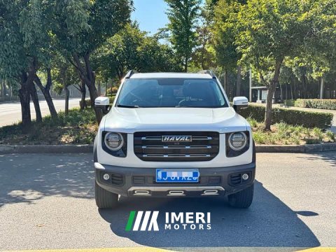 2021 Great Wall Dachshund 1.5T DCT Two-Wheel Drive Border Collie Edition - ავტომობილი ჩინეთიდან