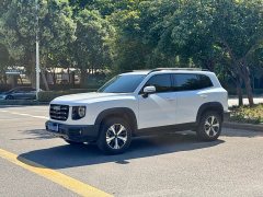 Great Wall Dachshund 1.5T DCT Two-Wheel Drive Border Collie Edition - ფოტო 3