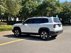 Great Wall Dachshund 1.5T DCT Two-Wheel Drive Border Collie Edition - ფოტო 7