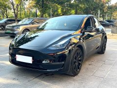 Tesla Model Y Long Range All-Wheel Drive - ფოტო 1