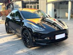 Tesla Model Y Long Range All-Wheel Drive - ფოტო 3