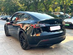 Tesla Model Y Long Range All-Wheel Drive - ფოტო 8