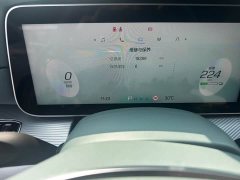 Arcfox Alpha-S 2023 525 Forest Edition 160kW - ფოტო 6
