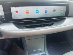 Arcfox Alpha-S 2023 525 Forest Edition 160kW - ფოტო 7
