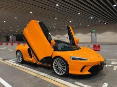 McLaren GT 4.0T Standard - ფოტო 2
