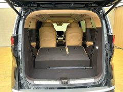 Denza BYD Denza D9 2025 DM-i AWD Premium Navigation Edition - photo 13
