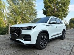 Chery Tiguan 8 PLUS Champion Edition 290TGDI DCT Luxury Enjoyment Edition 5-Seater - ფოტო 1