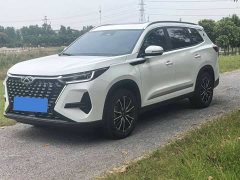 Chery Tiggo 8 PRO 290T Two-Wheel Drive Luxury Edition - ფოტო 1