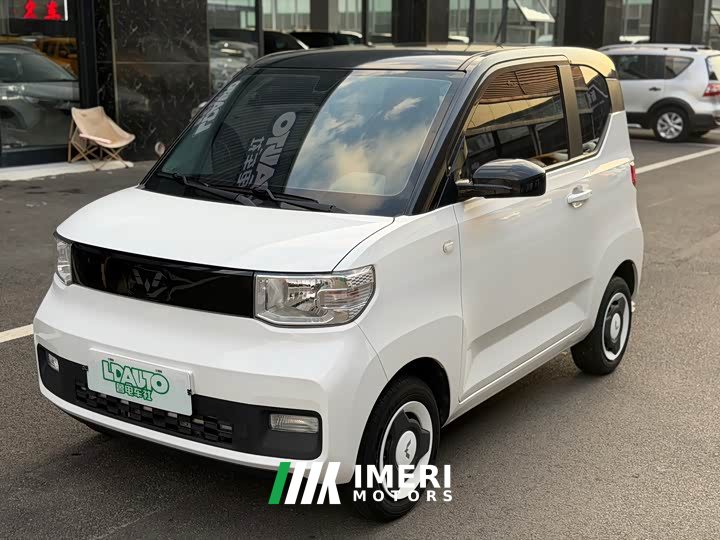 Wuling Hongguang MINIEV Zizai Edition LFP Battery