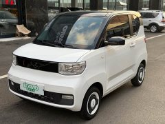Wuling Hongguang MINIEV 2022 Zizai Edition LFP Battery - photo 1