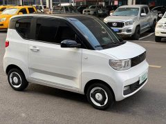 Wuling Hongguang MINIEV 2022 Zizai Edition LFP Battery - photo 3