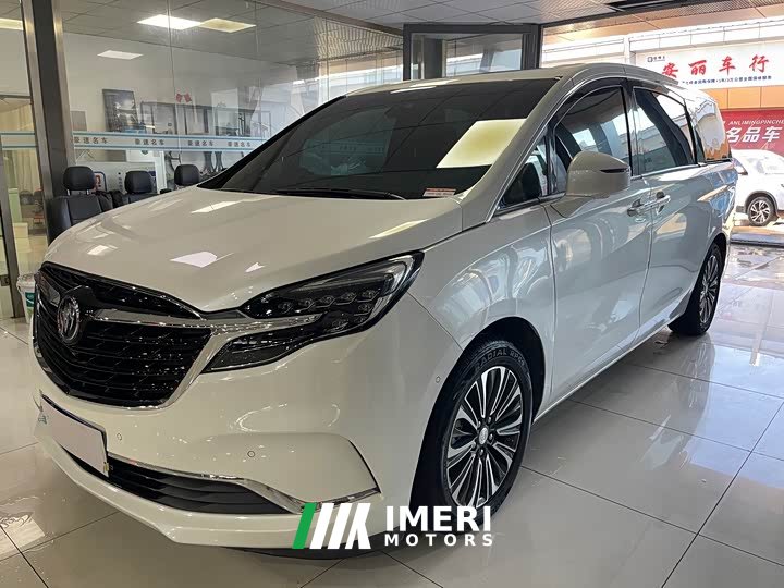 Buick GL8 ES Land Respect 653T Luxury - car from China